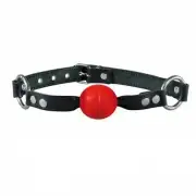 Кляпы, ошейники из кожи