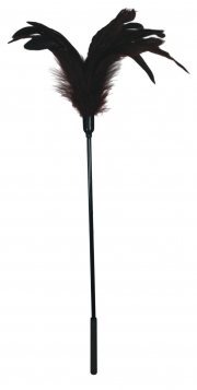 Бдсм и фетиш, перья