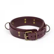 Кляпы, ошейники фиолетовый