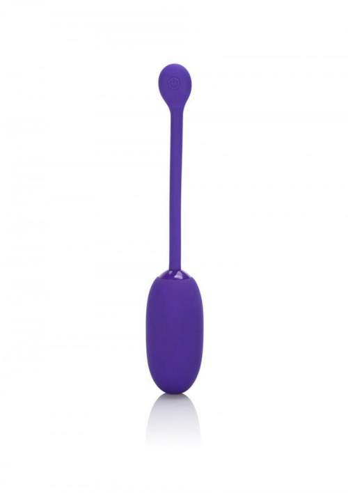 CalExotics RechargeabCalExotics Rechargeable Kegel Ball Starter перезаряжаемое виброяйцо, 7,7х3,25  photo 1