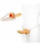 Полый страпон STRAP-ON HOLLOW EXTENDER FOR MEN  photo 1