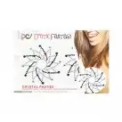 Наклейки на грудь - пэстисы EROTIC FANTASY CRYSTAL FLOWER photo 2