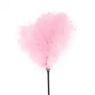 Щекоталка розовая Art of Sex - Feather Paddle, перо молодого индюка photo 2