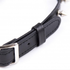 Шипастый ошейник photo 5