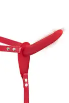 Страпон с вибрацией Fetish Tentation Vibrating Strap-On with Dildo Red photo 1
